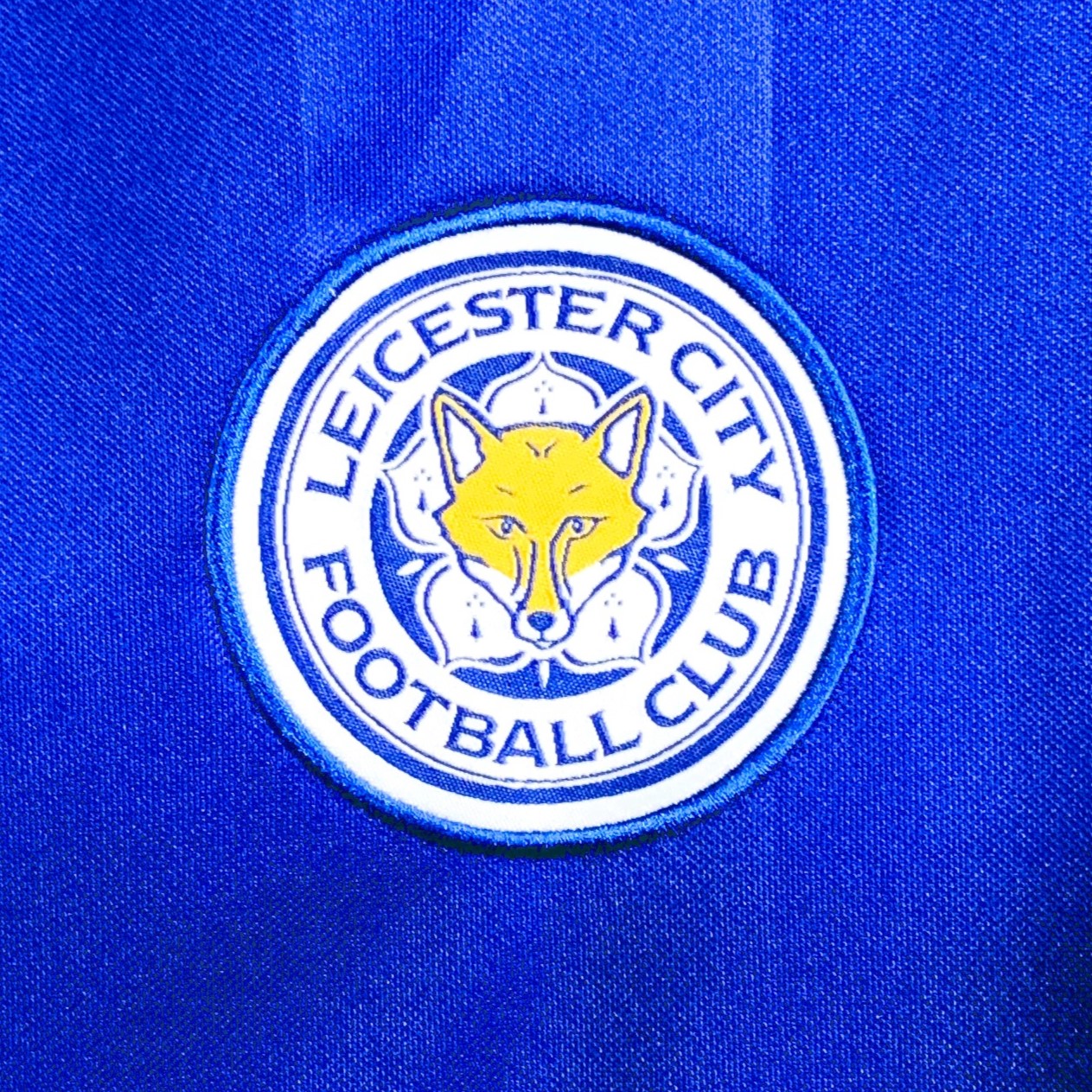 Leicester City 2015-16, Heim-Trikot, 14 N'Golo Kanté